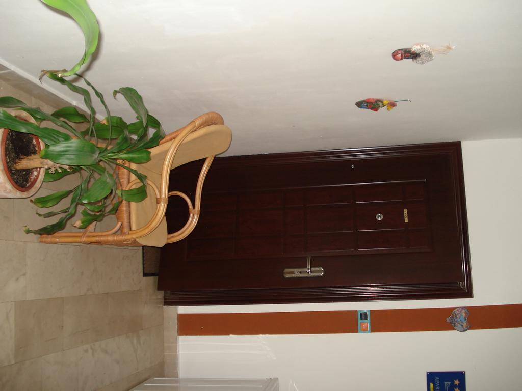 Apartment Nada Цриквениця Екстер'єр фото